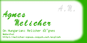 agnes melicher business card